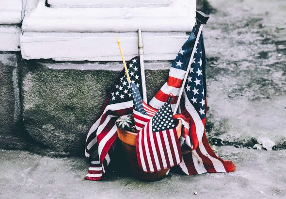 StockSnap_3D1IR4CQ4J